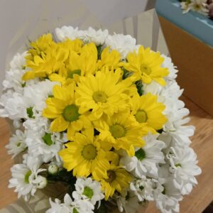 Sarı Beyaz Papatya Buketi